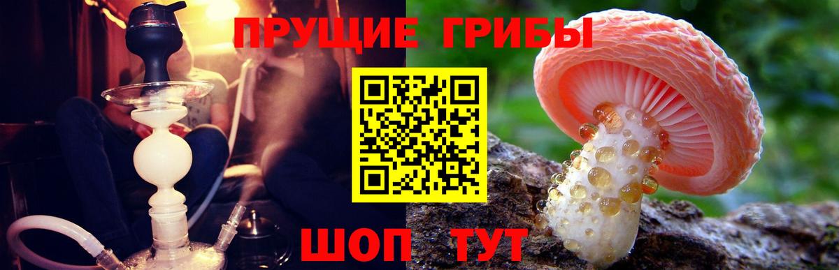 Псилоцибиновые грибы ЛСД Лабытнанги